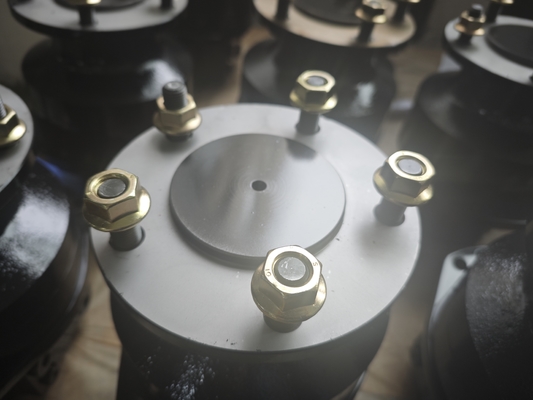 Moteur à piston hydraulique personnalisé, couple en fonte 2950-5100 Nm